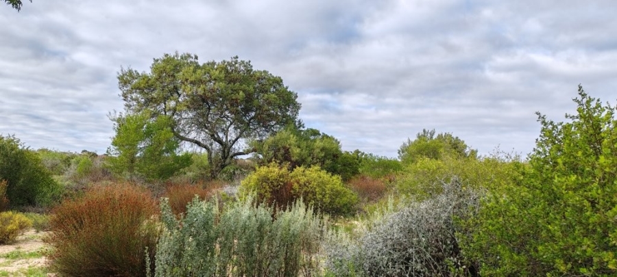 0 Bedroom Property for Sale in Redelinghuys Western Cape